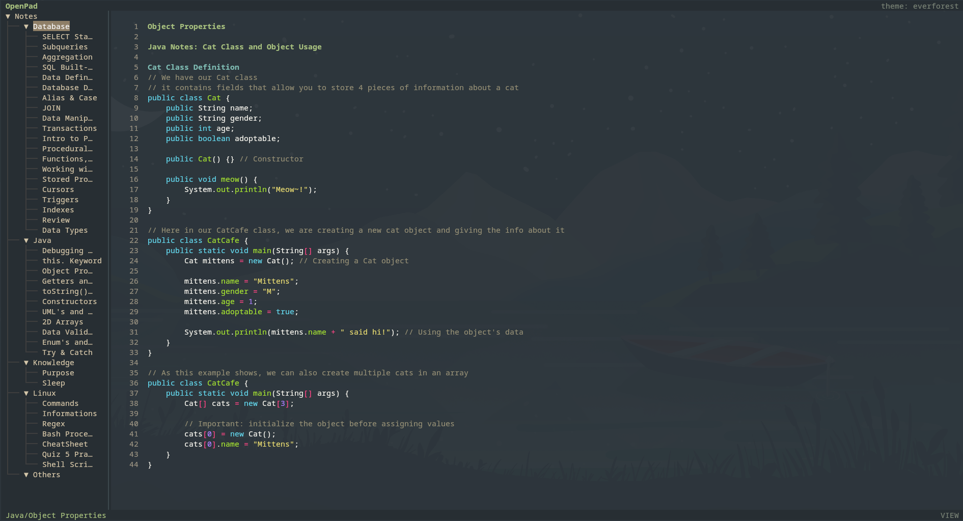 Screenshot of OpenPad in Terminal